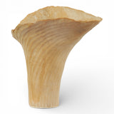 Sold | Shino Fluted Vase by Tee McManus