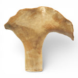 Sold | Shino Leaf Midi Vase by Tee McManus