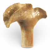 Sold | Shino Leaf Midi Vase by Tee McManus