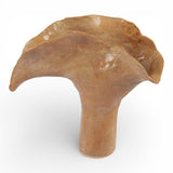 Sold | Shino Leaf Midi Vase by Tee McManus