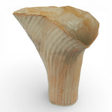 Sold | Shino Fluted Vase by Tee McManus