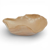 Home Fluted Blate in Beige by Tee McManus