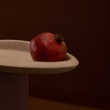 Seed Tray by Black Blaze