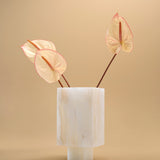 Trunk Vase in White Onyx by Black Blaze