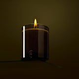 Bush Walk Candle by Black Blaze